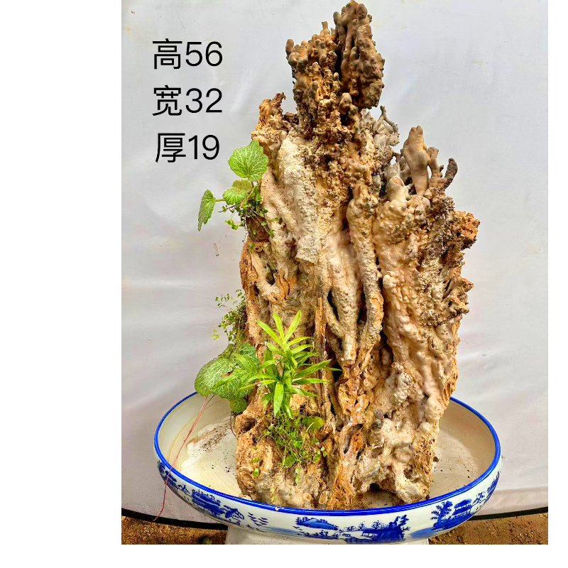 纯天然钟乳石芦管石吸水石上水石假山