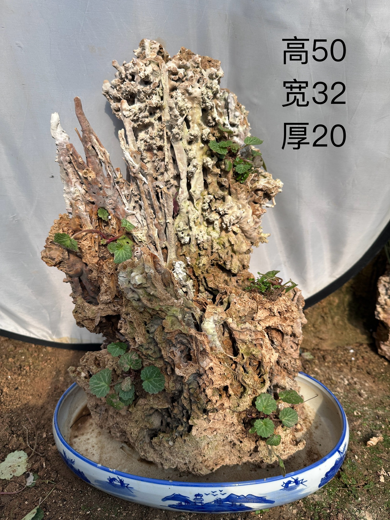 纯天然芦管石吸水石上水石假山