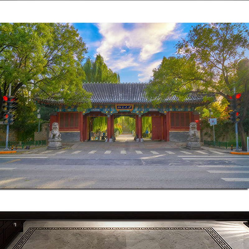 北大学府北京大学全景海报画世界名校教室校园宿舍励志墙建筑挂画图片