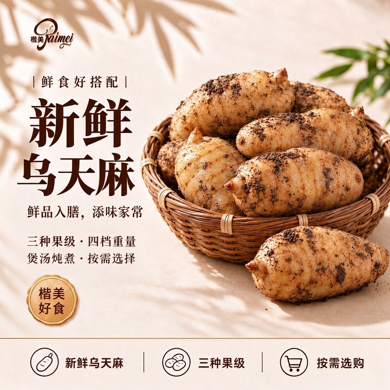 新鲜天麻云南昭通小草坝乌天麻正宗500g新鲜特级仿野生煲汤大果王