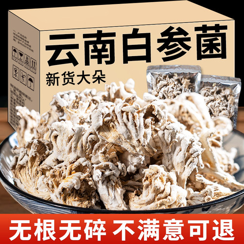 云南农家精选嫩菇白参菌干货