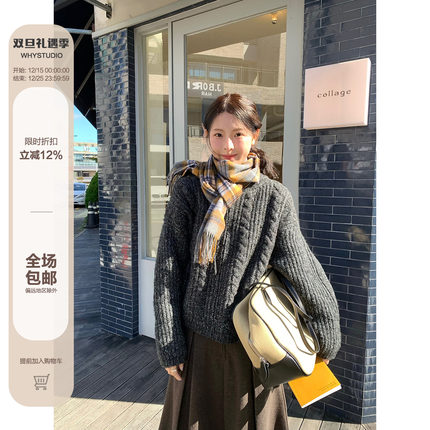 WHYSTUDIO 韩系氛围感保暖连帽麻花毛衣女冬季纯色慵懒宽松短外套