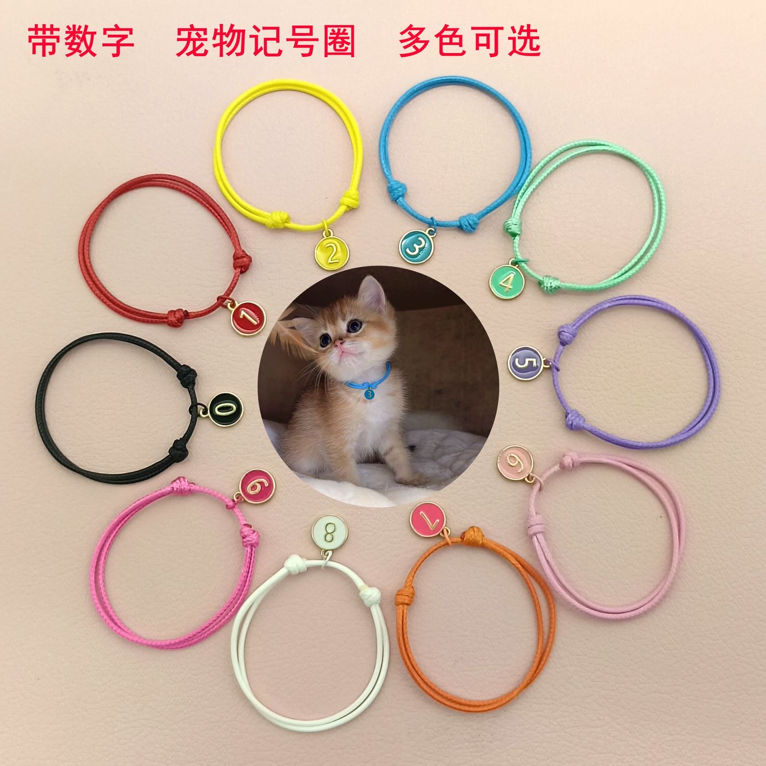 宠物用品新生猫咪识别项圈记号绳狗狗小宠装饰幼犬分类新生标记绳