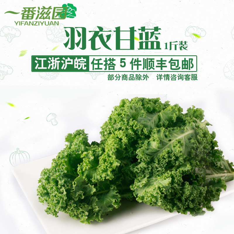 fresh Salad vegetables Kale Green leaf Flower Bag Kale500gin the Aquatic meat/Fresh fruits and vegetables/Cooked , Fresh vegetables/Vegetable products , Jingcai  category - from Buy2taobao.com to provide professional Taobao agent buy service