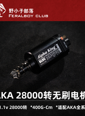 AKA28000转无刷电机11.1v秒25电机无刷版适配AKA AK12 PPK20