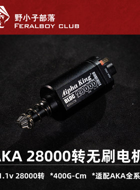 AKA定制28000转无刷电机