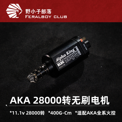 AKA定制28000转无刷电机