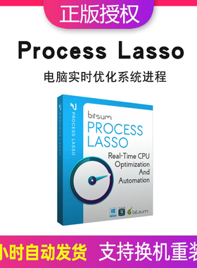 Process Lasso Pro 专业版实时 CPU 优化系统进程软件 v10激活码