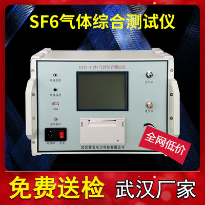 SF6气体综合测定仪高精度