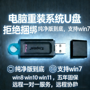 win11专业版 系统u盘电脑重装 win10自动安装 机PEwin7旗舰版 一键装
