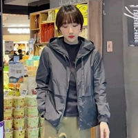 Серый (весна и осень)