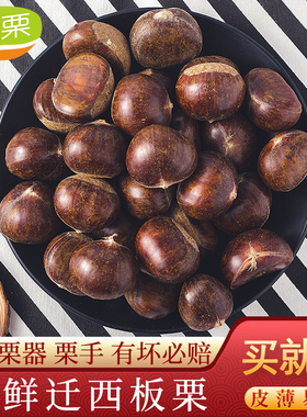 正宗魅栗新货现挑精选3113迁西板栗生新鲜油栗子大粒河北毛栗板粟