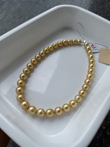 GRC证书RichGolden  正圆10.0-12.0mm浓金项链 珠层2.5～2.8mm