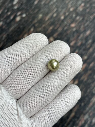 超浅色10.73mm大溪地牛油果 自然光拍摄