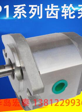 新款齿轮泵 P105RP01G P106RP01G P107RP01G P108RP01G P109R包邮