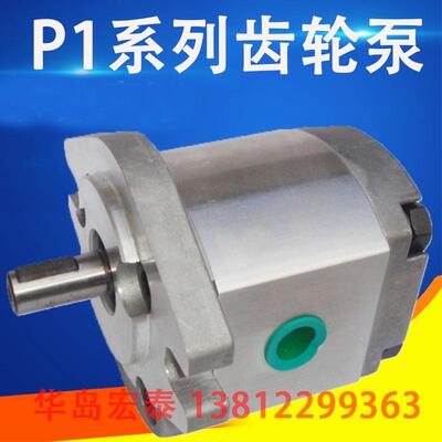 新款齿轮泵 P105RP01G P106RP01G P107RP01G P108RP01G P109R包邮