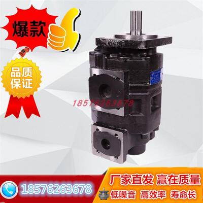 新款HCHC长源 CBGNL-63/25-BFHL/50/40/32/20/16/10-BFHL 双包邮