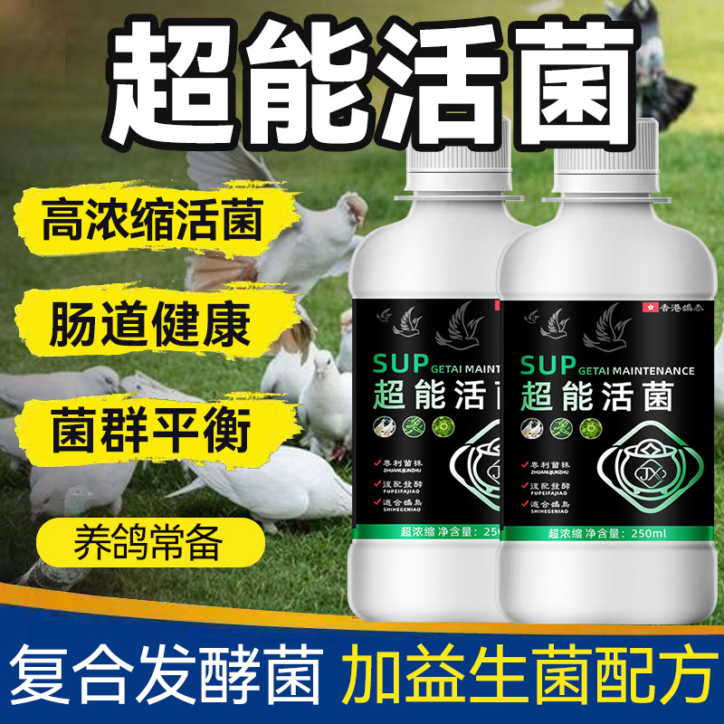 超能活菌肠道健康多味中药菌赛鸽种鸽用益生菌正品日常营养补充剂