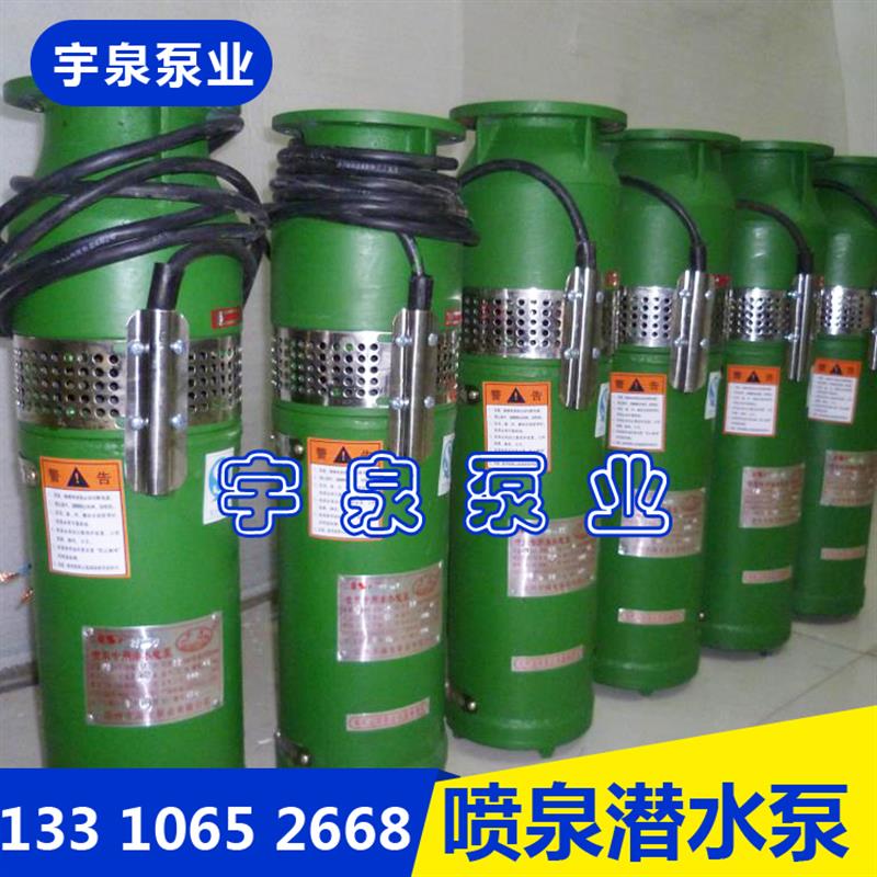 新款QSP65-25-7.5QSP65-18-5.5喷泉专用潜水泵铸铁电动降水灌包邮
