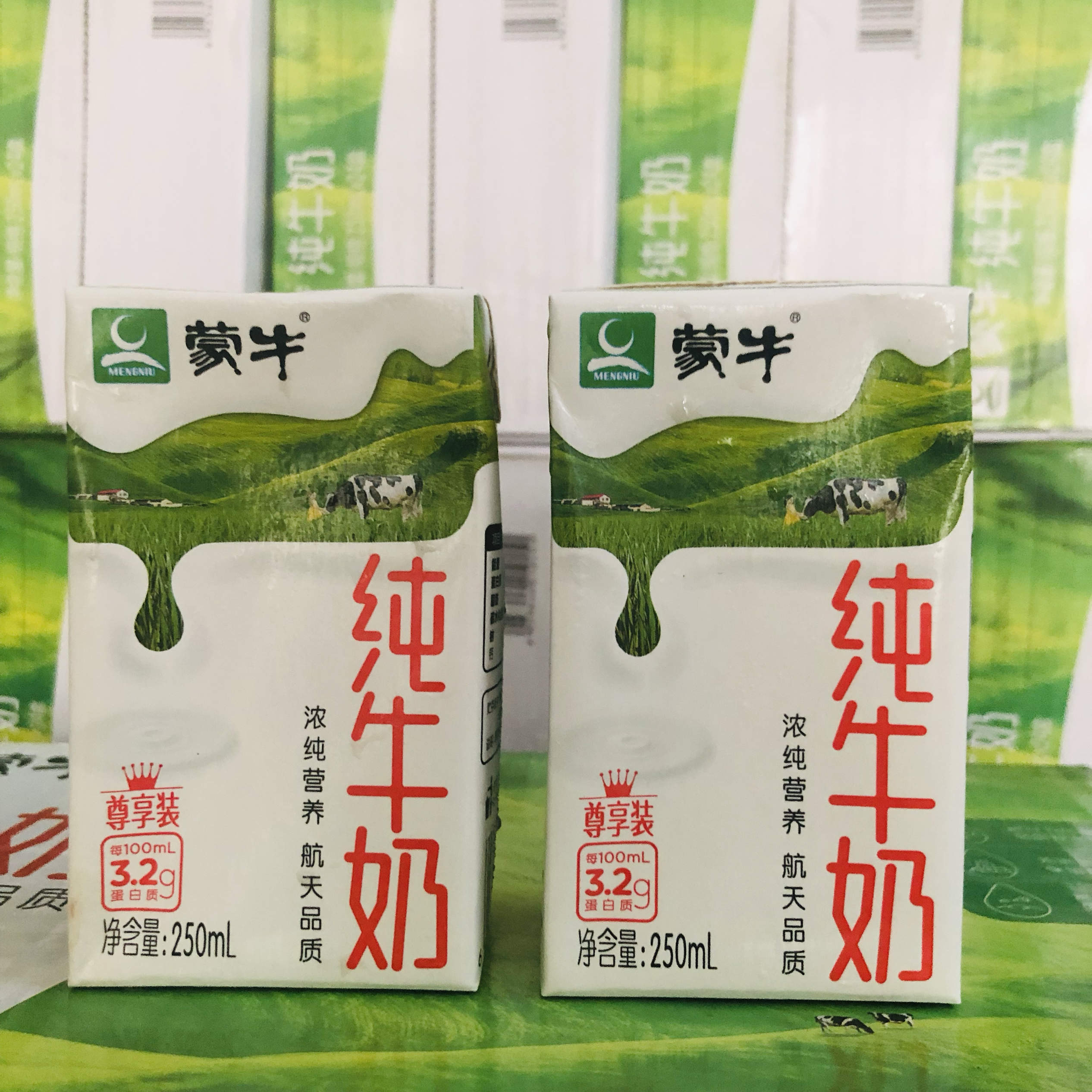 5月份蒙牛纯牛奶250ml全脂学生早餐纯牛奶10盒特惠装