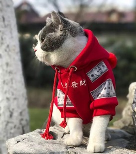 恭喜发财幼犬保暖毛球卫衣纯棉加绒秋冬新款 宠物猫咪狗狗服装