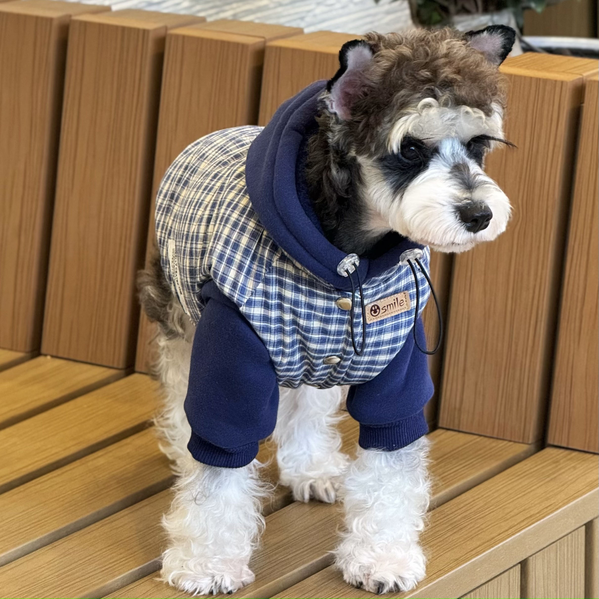 狗狗衣服冬季格子夹棉马甲雪纳瑞泰迪比熊加厚防风防雪外套约克夏