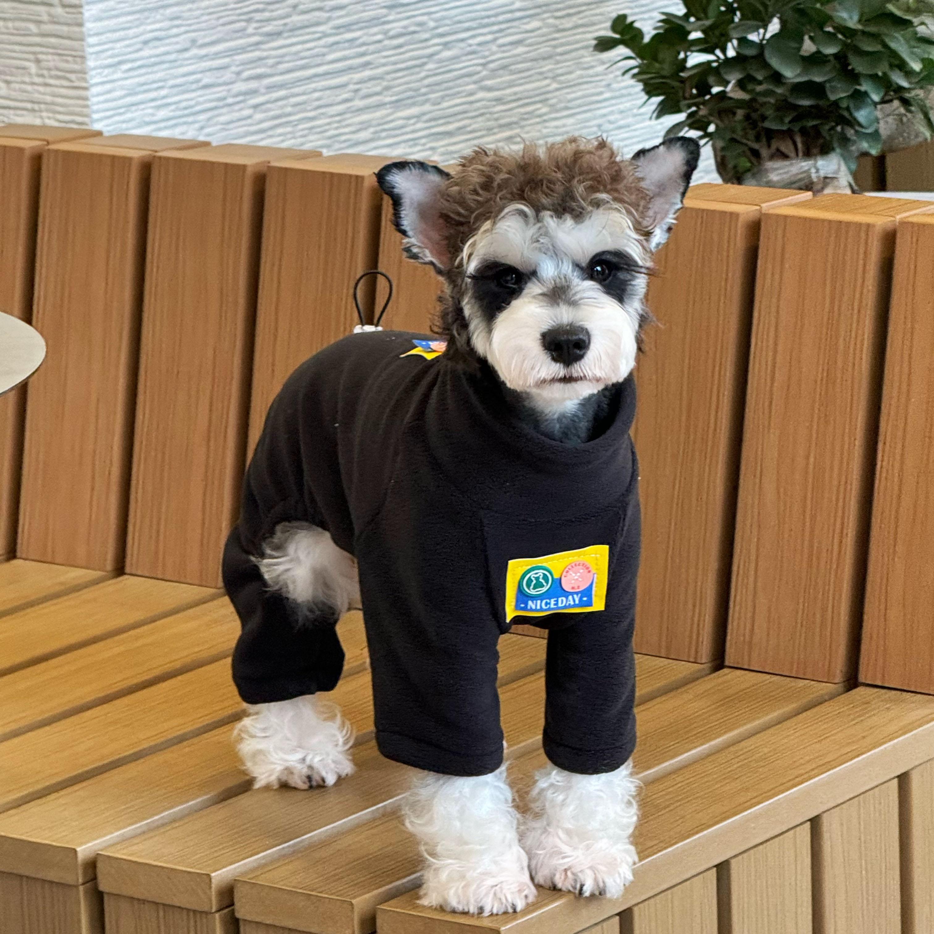 宠物猫咪狗狗衣服秋冬新款保暖