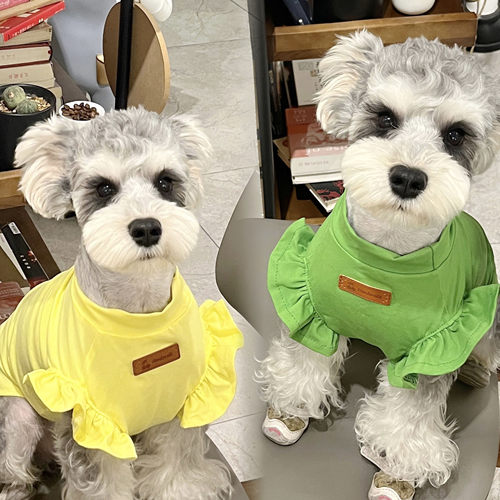 宠物猫狗衣服 夏季纯棉三色花边无袖背心 室内防掉毛 中小大型犬