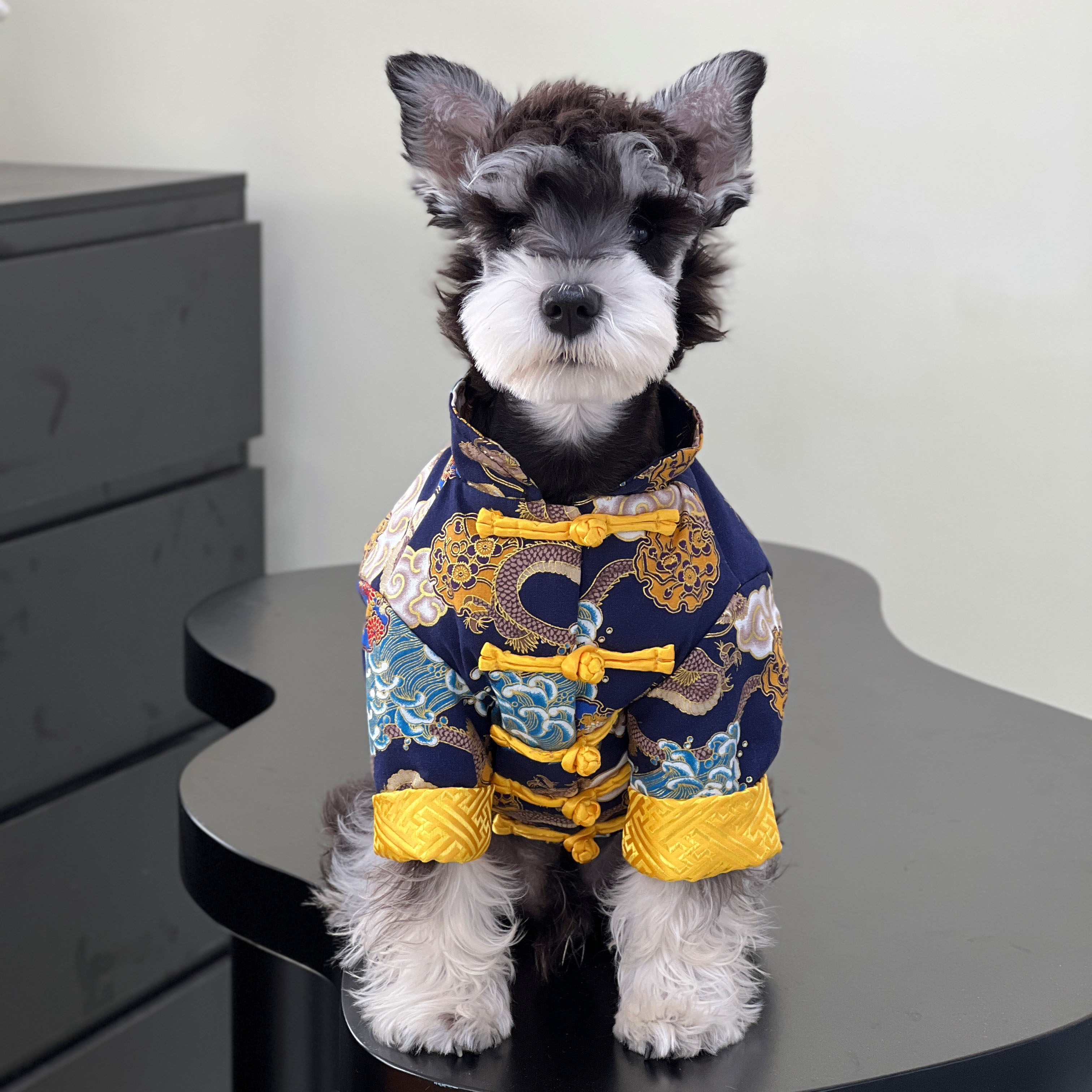 宠物过年喜庆龙袍棉衣复古雪纳瑞战袍加厚保暖金毛拉布拉多棉袄,宠物/宠物食品及用品,猫宠物服装/雨衣（新）,淘宝优惠券,粉丝福利购,淘宝优惠卷