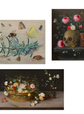 Jan van Kessel the Elder复古花卉昆虫骷髅经典名画原版装饰画
