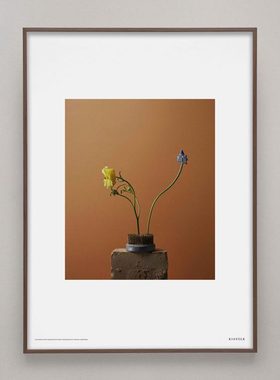 进口丹麦Alium*Kinfolk Collection植物摄影原版装饰画FLOWERS