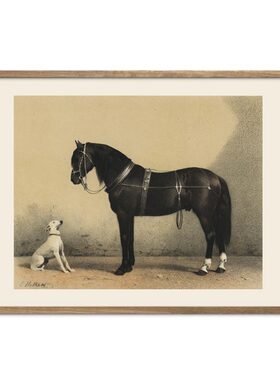 liveart黑马白狗Orloff Horse美式复古原版装饰画Emil Volkers
