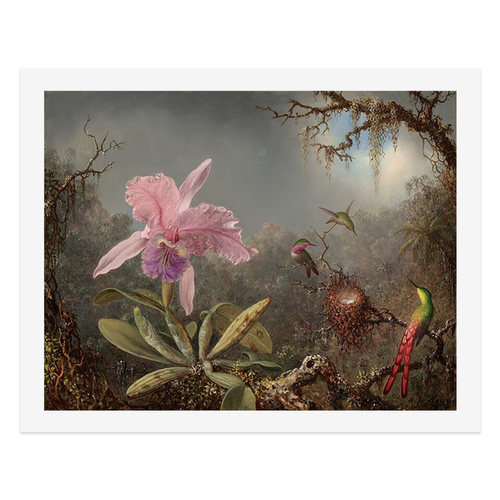 liveart美国画家Martin Johnson Heade兰花蜂鸟经典名画装饰画