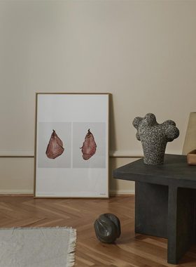 进口丹麦Alium*Kinfolk Collection植物摄影原版装饰画THE PETAL