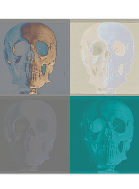 liveart进口英国Rosenstiels 工业风骷髅原版装饰画Chris Dunker