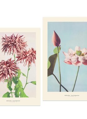 liveart进口荷兰PSTR Studio*Kazumasa Ogawa花卉复古原版装饰画