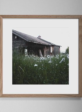liveart进口瑞典fine little day绿色花房原版装饰画海报DDALARNA