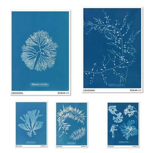 ANNAATKINS原版海报装饰画