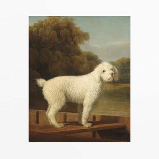 liveart乔治斯塔布斯George Stubbs动物松鼠复古名画原版装饰画