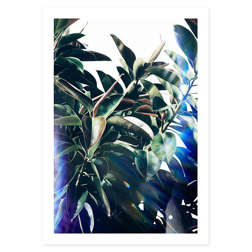 德国设计师植物森林装饰画挂画