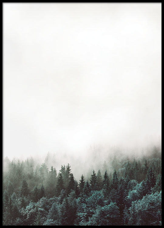 liveart 斯堪的纳维亚风景北欧森林forest原版海报装饰画芯