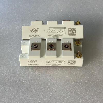 MIC IGBT模块 型号MMG75S120B6C I