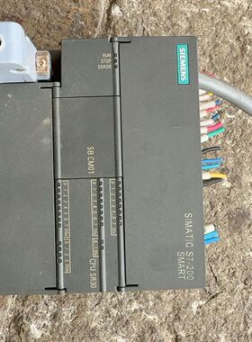 SR30PLC 6ES288-1SR30-0AA0 辅