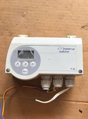 德国的Halstrup Walcher差压变送器 型号P