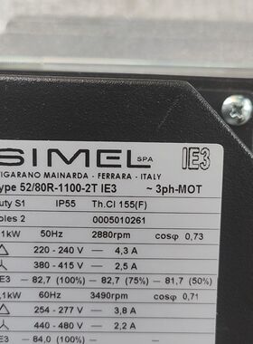 52/80R-1100-2T意大利SIMEL电机.电机5