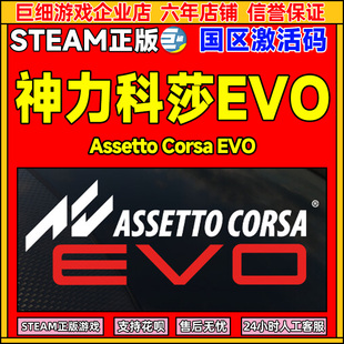 Steam神力科莎evo 神力科莎EVO Assetto Corsa EVO 国区激活码CDK