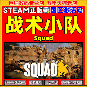 战术小队激活码 steam PC中文正版  Squad 国区激活码cdkey秒发