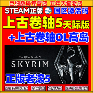 PCSteam上古卷轴5天际特别版上古卷轴高岛OL高岛老滚5重制The Elder Scrolls V上古卷轴5特别版激活码key