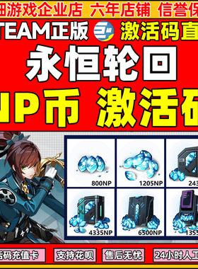 永恒轮回NP点数CDKey兑换码端游NP兑换券 steam激活码秒发货