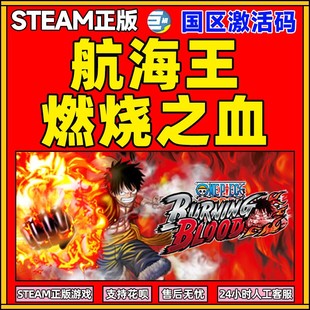 Piece One Burning Blood CDKey Steam 国区激活码 航海王燃烧之血
